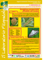 Laboratorio fitopatologico N°4 – (Piralide del bosso – Cydalima perspectalis)